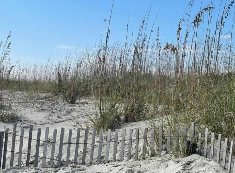 Marriott'S Monarch At Sea Pines Hotell Hilton Head Island Exteriör bild